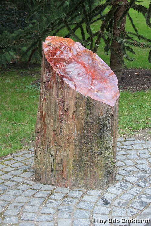 Bodensee Auf der Mainau