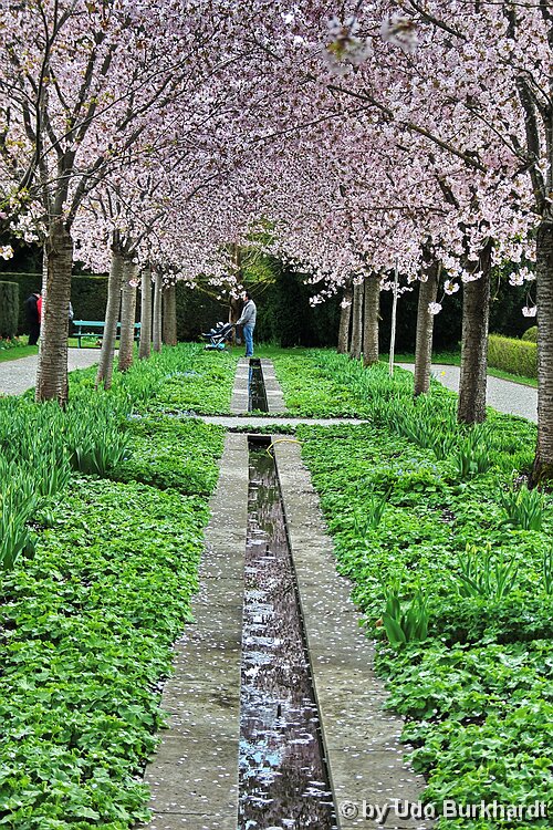 Kloster Salem Kloster Salem, Park und Garten