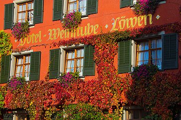 Meersburg Gasthof Löwen