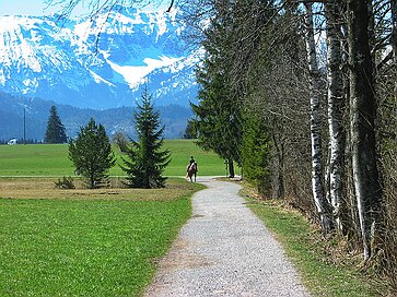 Der Hopfensee Erinnerung