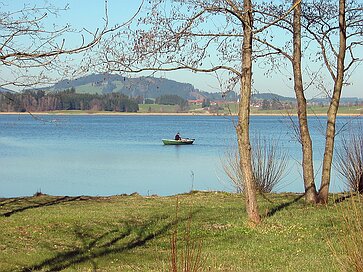 Der Hopfensee Erinnerung