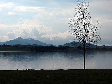 Der Hopfensee Hopfen am See