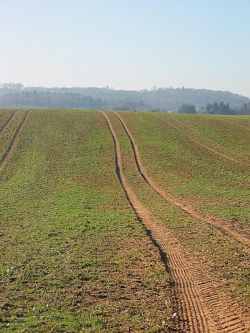 Spuren auf der Langgewann Spuren
