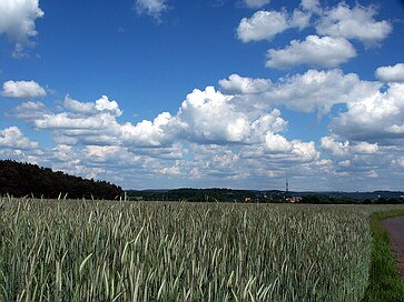 Die Langgewann Wolken