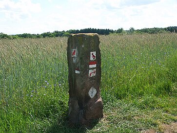 Die Langgewann Grenzstein