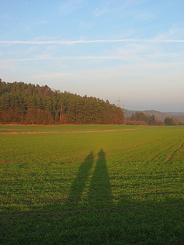 Die Langgewann Schatten