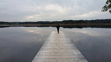 Begrenzung Steg im Elbsee