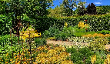 Gelb Garten in Gelb