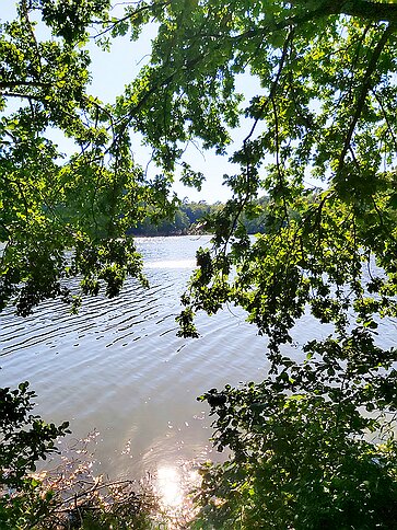 Jägersburg Brückweiher