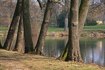 Frühling Die ersten warmen Sonnenstrahlen