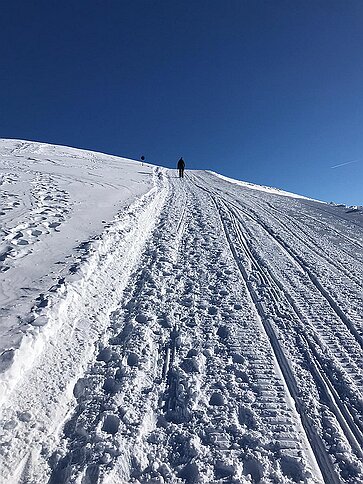 Spuren im Schnee In der Spur bleiben