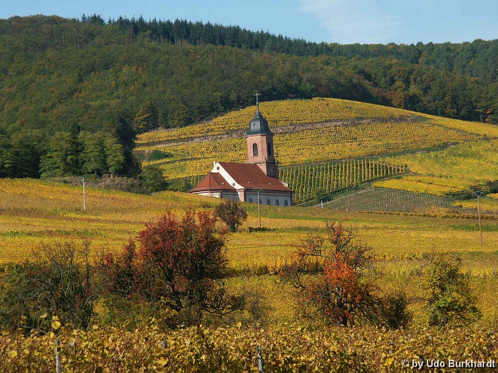 Herbst Elsass