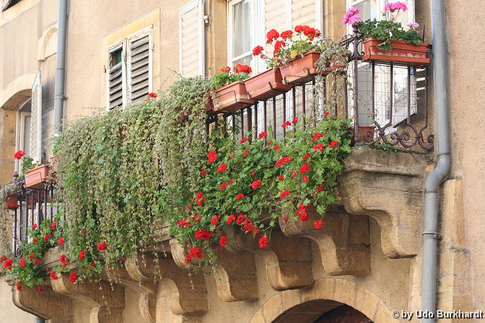 Metz Garten auf Balkon