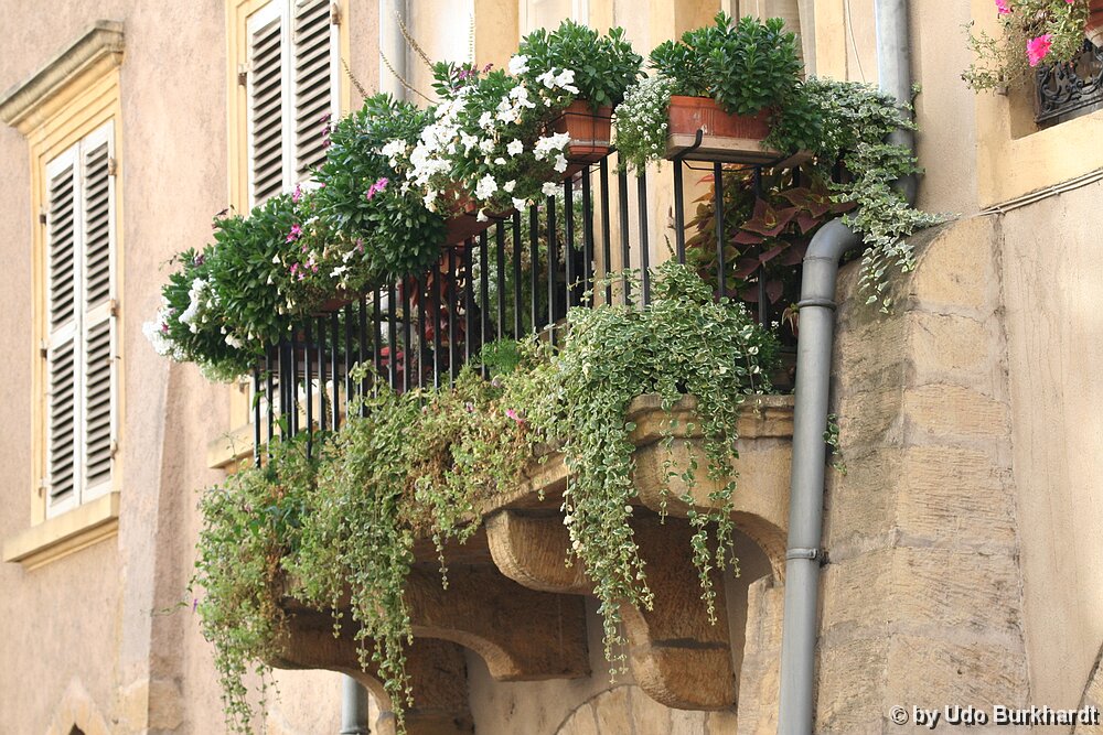 Metz Stadtgarten