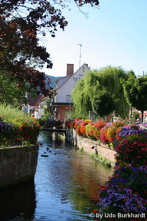 Niederbronn les Bains Stadtansicht