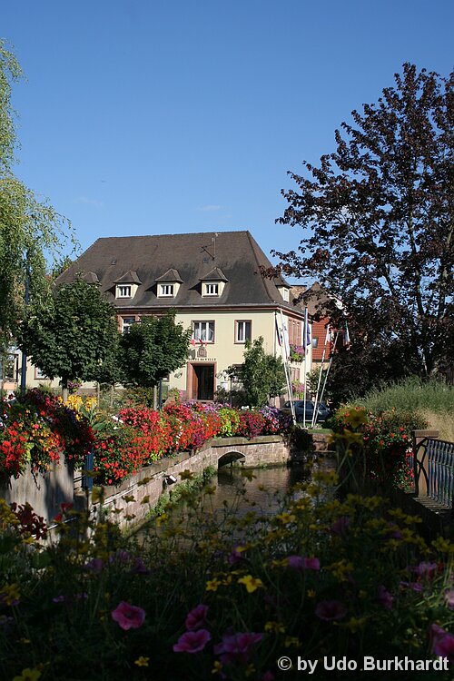 Niederbronn les Bains Stadtansicht