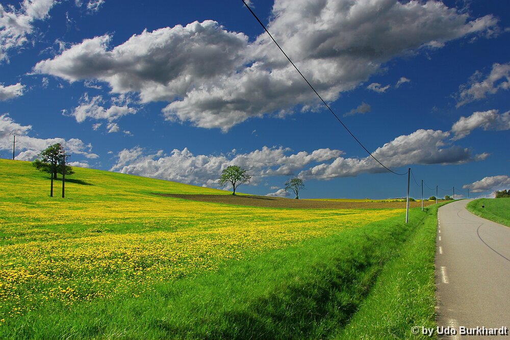 Leiding Leiding ist ein Ortsteil der französischen Gemeinde Heining-lès-Bouzonville. Mitten durch den Ort geht auf einer Straße die deutsch französische Grenze.