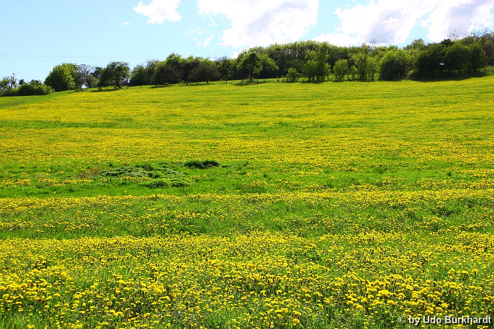 Leiding Leiding ist ein Ortsteil der französischen Gemeinde Heining-lès-Bouzonville. Mitten durch den Ort geht auf einer Straße die deutsch französische Grenze.