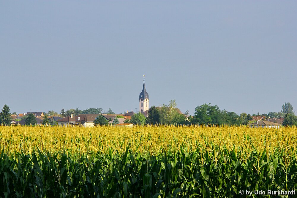 Frankreich An der Landstraße bei Mulhouse
