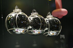 Meisenthal CIAV null