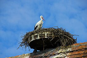 Ecomusée d'Alsace null