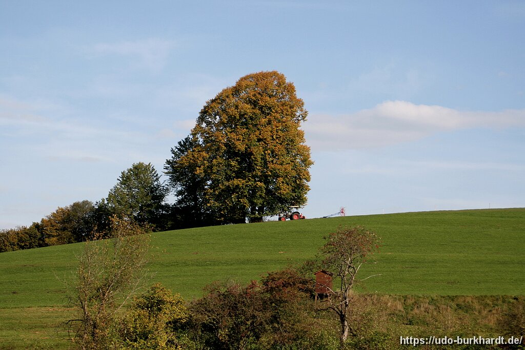 Der Hopfensee Erinnerung