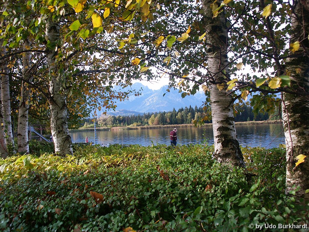 Der Hopfensee Erinnerung