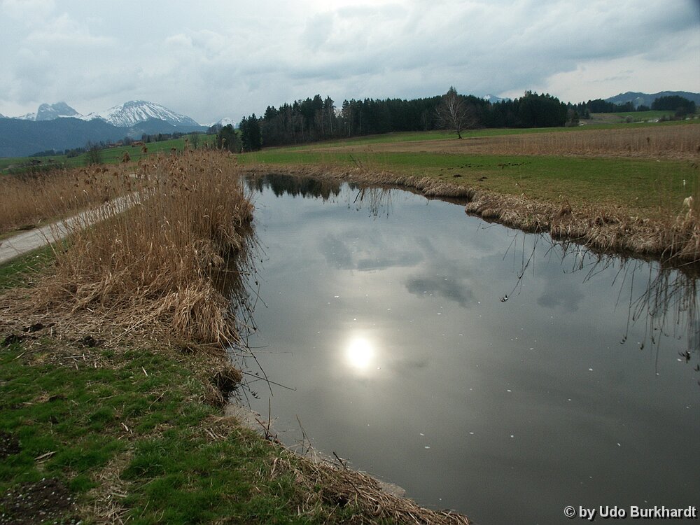 Der Hopfensee Erinnerung
