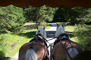 Seefeld in Tirol Mit der Kutsche unterwegs