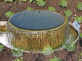 Trauttmansdorff null