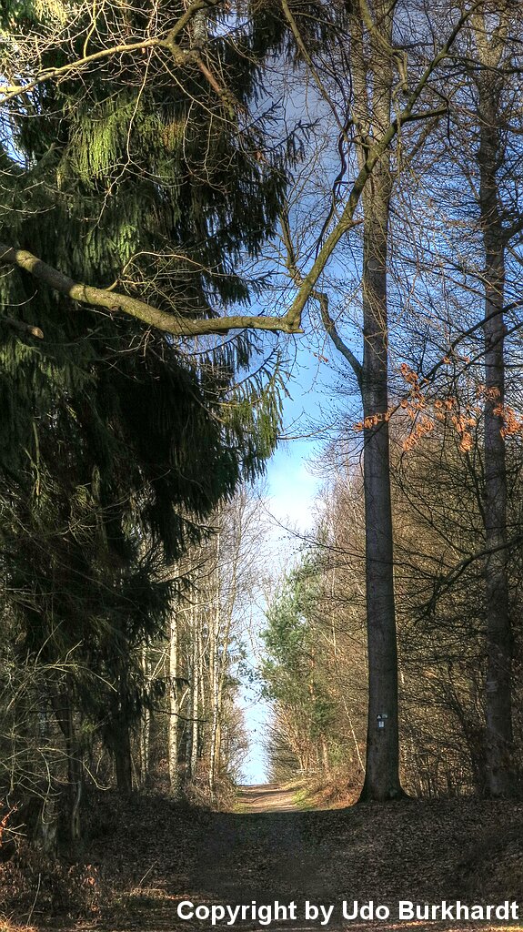 IMG_1361_Akzentuiert Grenzsteinweg Kohlhof