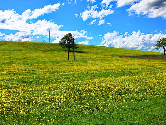 Frankreich