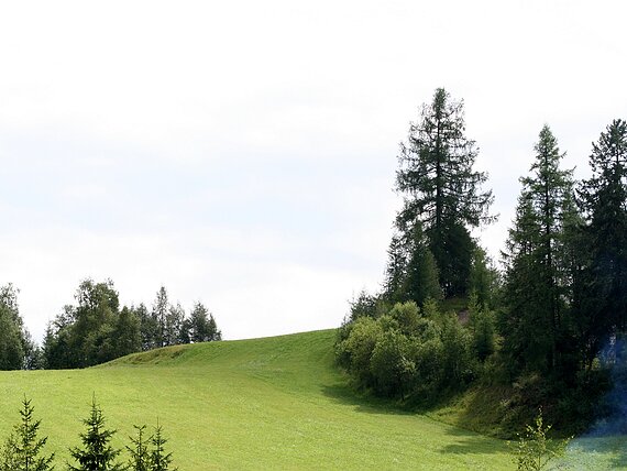 Oesterreich